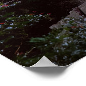 Poster Cascade australienne (Coin)