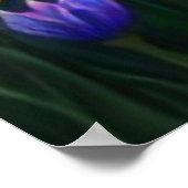 Poster *~ Cascade Beautifu AP56 Fleurs d'étang femme (Coin)