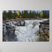 Poster Cascade canadienne pittoresque, chutes Athabasca (Devant)