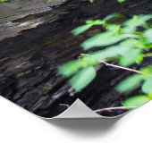 Poster Cascade centrale, Watkins Glen, New York (Coin)