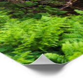 Poster Cascade, côte de Hamakua, Hawaii (Coin)