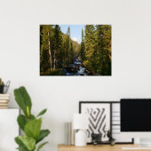 Poster Cascade Creek à Grand Teton (Bureau à domicile)