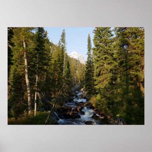 Poster Cascade Creek à Grand Teton (Devant)