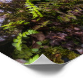 Poster Cascade dans la forêt enchantée (Coin)