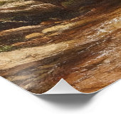 Poster Cascade dans la forêt – George Hetzel (Coin)