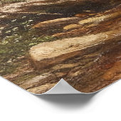 Poster Cascade dans la forêt – George Hetzel (Coin)