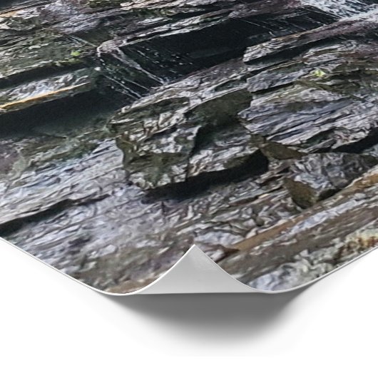 Poster Cascade dans la forêt verte de printemps (Coin)