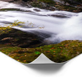 Poster Cascade dans le canyon de la Gorge Vintgar en auto (Coin)