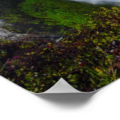 Poster Cascade dans le vert (Coin)