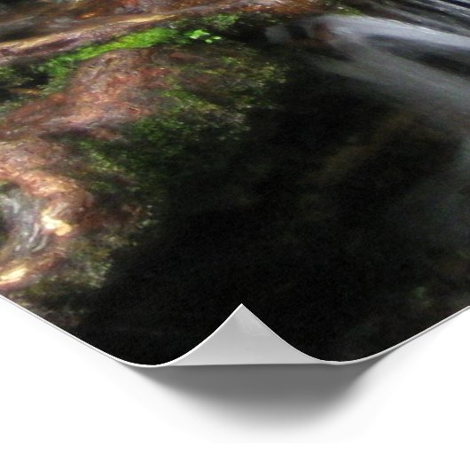 Poster Cascade dans les monts smokey 2 (Coin)