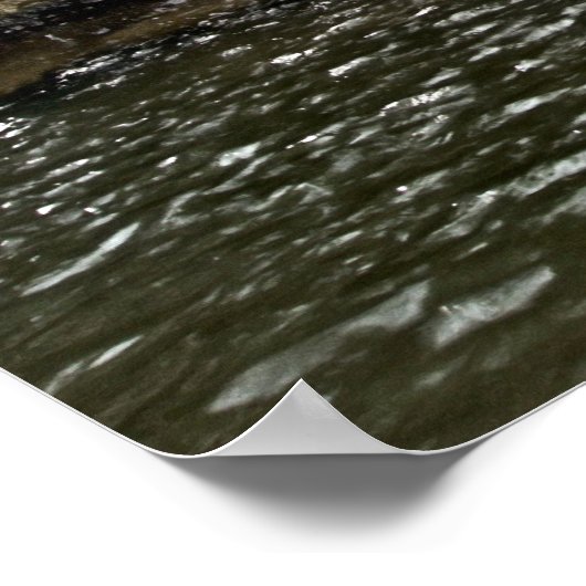 Poster Cascade dans les Ozarks (Coin)