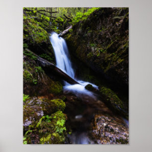 Poster Cascade dans une forêt enchantée