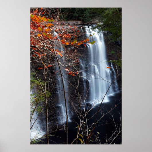 Poster Cascade d'automne (Devant)