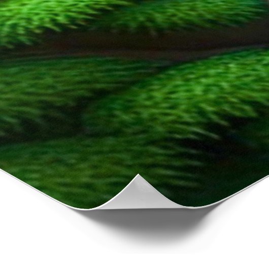 Poster Cascade de Bouddha (Coin)