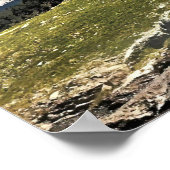 Poster Cascade de Grindelwald (Coin)