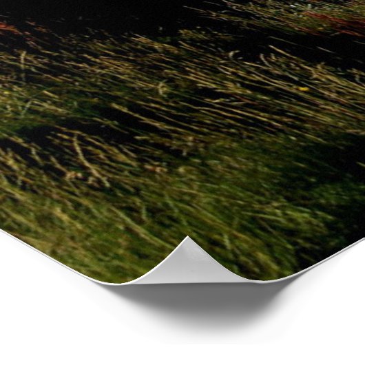 Poster Cascade de Gullfoss en été (Coin)