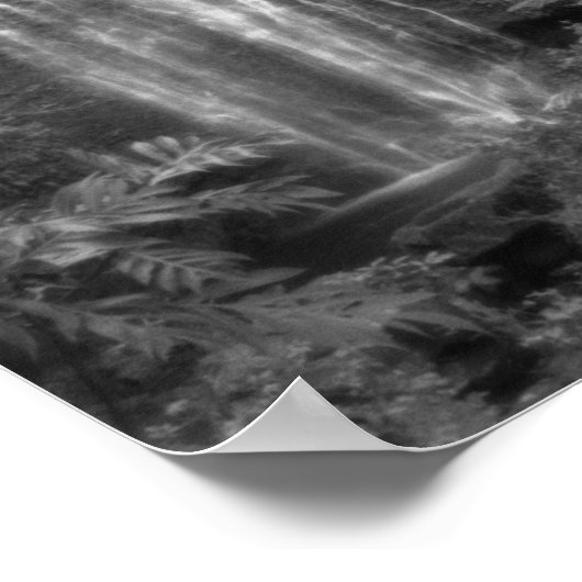 Poster Cascade de Hana (Coin)