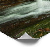 Poster Cascade de Hungarian Falls dans une forêt moussue (Coin)