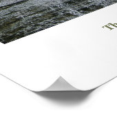 Poster Cascade de la Caroline du Nord (Coin)