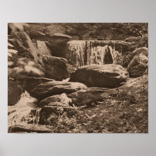 Poster Cascade de la forêt dans la nature marron sépia (Devant)