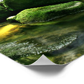 Poster Cascade de la forêt de pluie verdoyante au soleil (Coin)