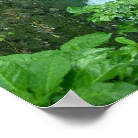 Poster Cascade de La Paz, Costa Rica (Coin)