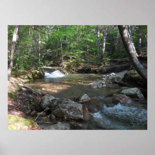 Poster Cascade de la rivière Pemigewasset I (Devant)