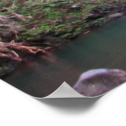 Poster Cascade de Maui (Coin)