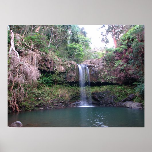 Poster Cascade de Maui (Devant)