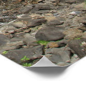 Poster Cascade de Maui - Route vers Hana 2008 (Coin)