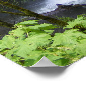 Poster Cascade de Multnomah (Coin)