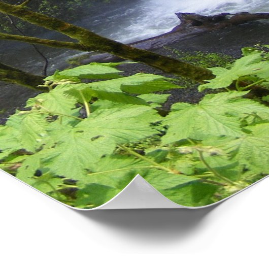 Poster Cascade de Multnomah (Coin)