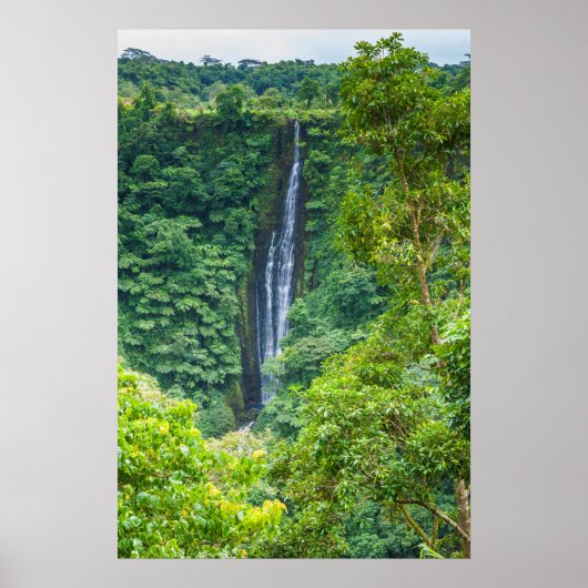 Poster Cascade De Papapapaitai Dans La Jungle (Devant)