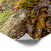 Poster Cascade de rivière et chute d'eau (Coin)