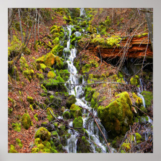 Poster Cascade de source de montagne.....