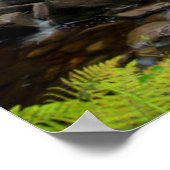 Poster Cascade de Torc paysage, Irlande (Coin)