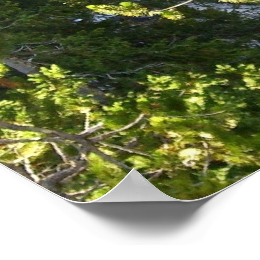 Poster Cascade de Yellowstone (Coin)