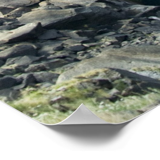 Poster Cascade de Yosemite (Coin)