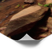 Poster Cascade d'Ellinjaa, Australie (Coin)