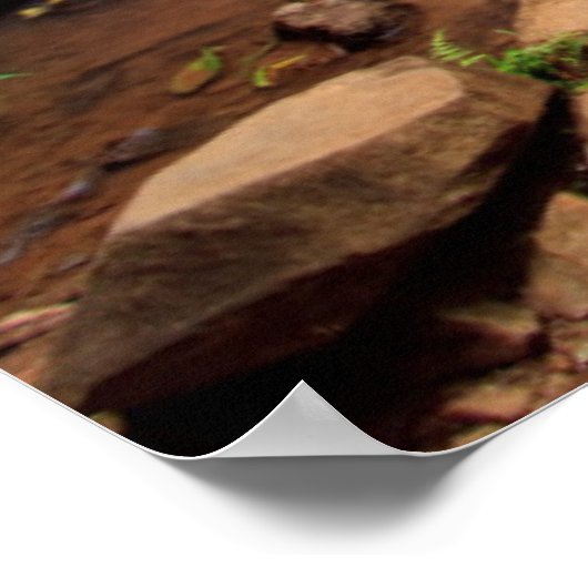 Poster Cascade d'Ellinjaa, Australie (Coin)