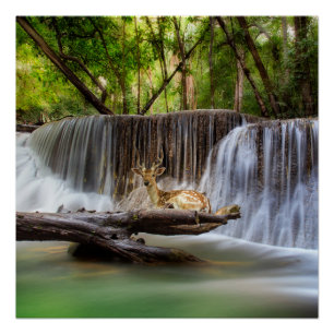 Poster Cascade d'Erawan avec des cerfs relaxants
