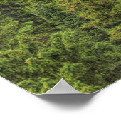 Poster Cascade des Rocheuses (Coin)