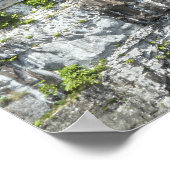 Poster Cascade DeSoto, Alabama (Coin)