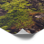 Poster Cascade du fleuve Coe (Coin)