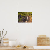 Poster Cascade du fleuve Coe (Cuisine)