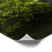 Poster Cascade du jardin (Coin)