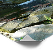 Poster Cascade du jardin Garden (Coin)