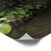 Poster Cascade du jardin luxuriant, Chine (Coin)