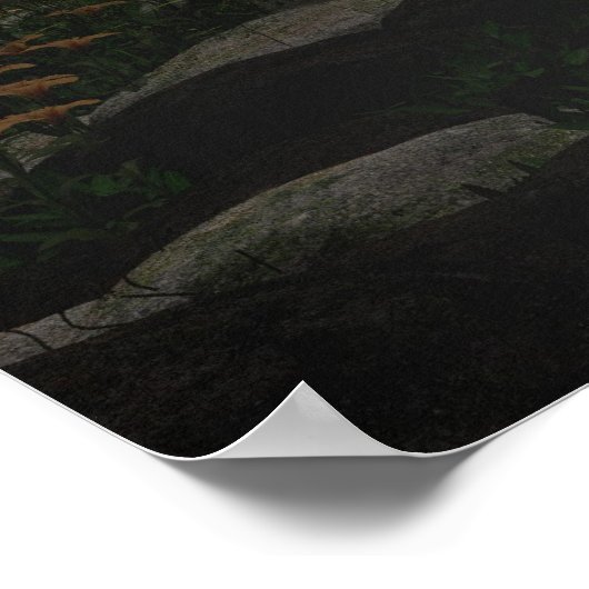 Poster Cascade du matin (Coin)