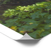 Poster Cascade du ruisseau Lower Falls HDR Imprimer avec  (Coin)